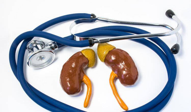 肾脏|肾功能受损有哪些征兆?提醒:除了泡沫尿,这6种症状也别大意