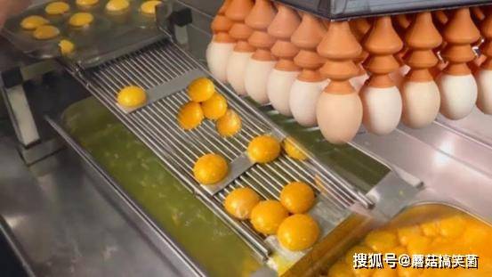 超市的鸡蛋不是母鸡下的？实拍生产鸡蛋全过程，事实令人诧异