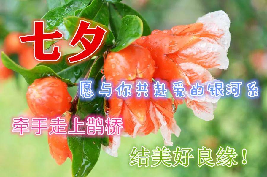 2021最新版七夕清晨送爱人早上好祝福语句,温馨好看的早安带字动态