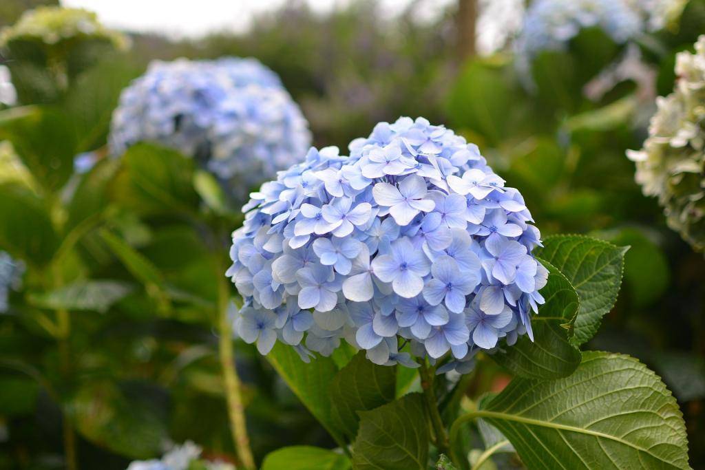 8月14日 日星座运势 白羊座未雨绸缪 水瓶座深思熟虑 未来