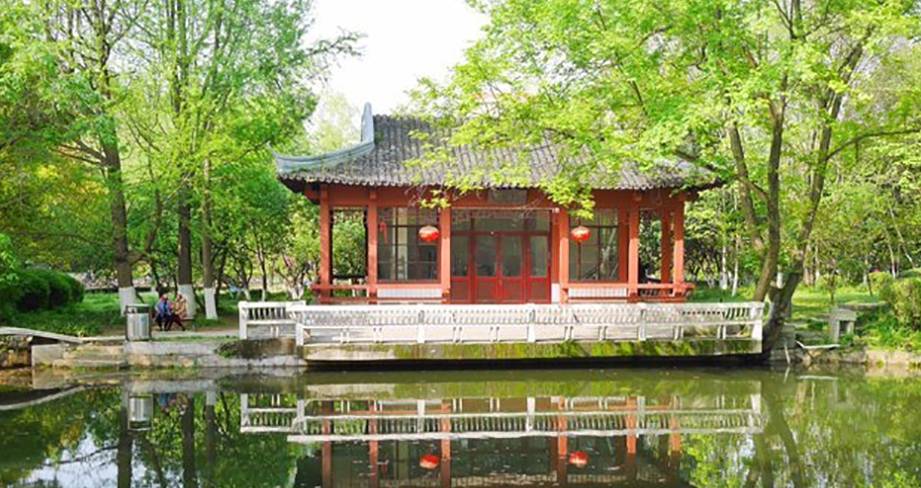 南京有个“秘密花园”，免费人少又安静，每到花期吸引无数游客