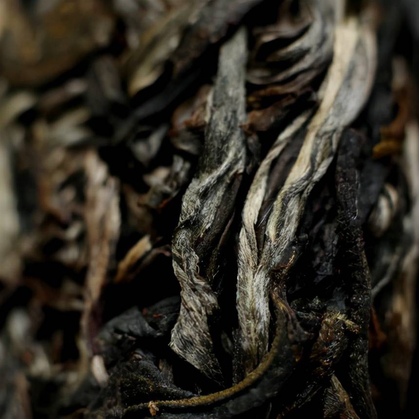 喝茶你还在追名气那你可能要错过堪比茶叶味精的临沧马鞍山茶附口感