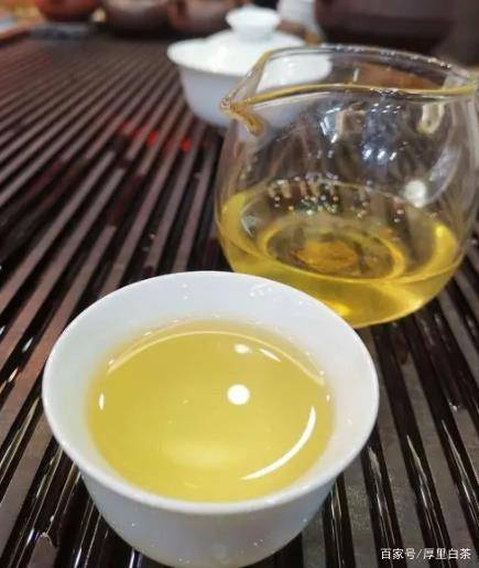 银针|为什么越来越多的人在喝白茶？白茶究竟哪里好？