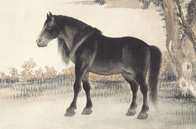 鱼跃龙门什么时候出的 aa8703b4b63548e689f4b48b8635fb89.png