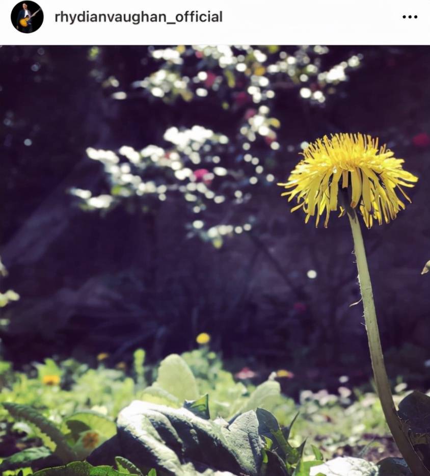 动态|心痛！知名男星曝怀孕9个月妻子流产，孩子查出有颗肾长出肿瘤