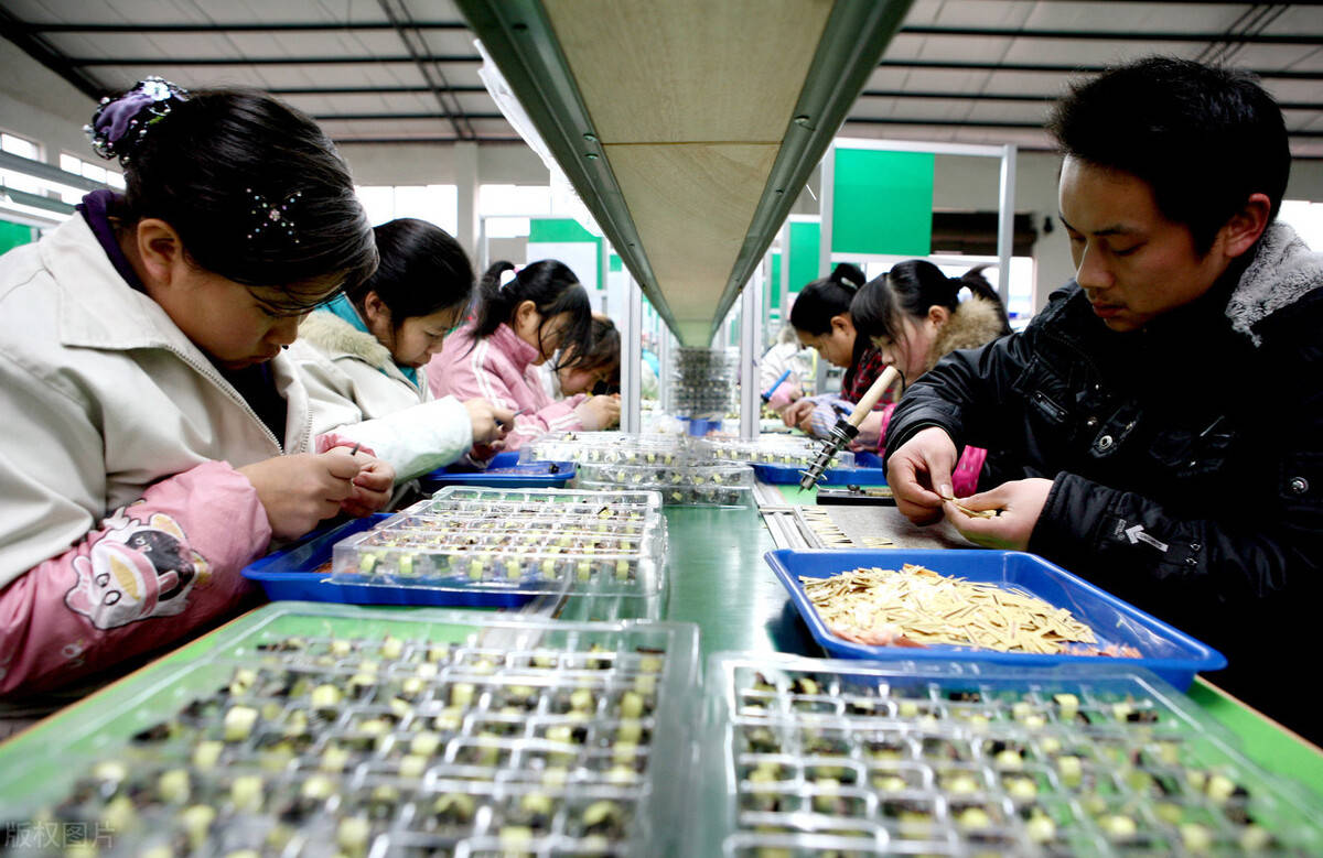 在工厂上班,好不容易熬到线长,班长,组长的,最后辞职都怎么样了?_表哥