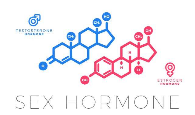 生活|降糖“冠军”被揪出,不是葛根,每天当零嘴吃,还你“好胰岛”