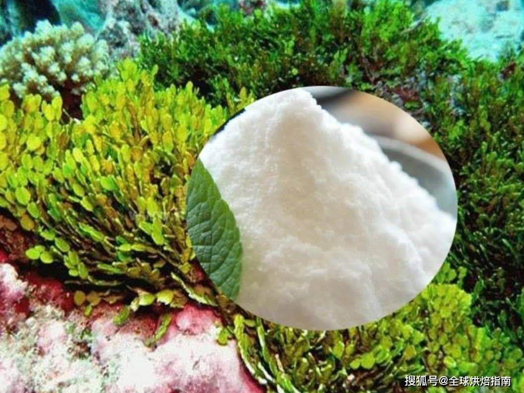 一瓶500ml的可樂含糖量vs蛋糕含糖量，烘焙食物的含糖量真的高嗎? 熱愛美食 第16张