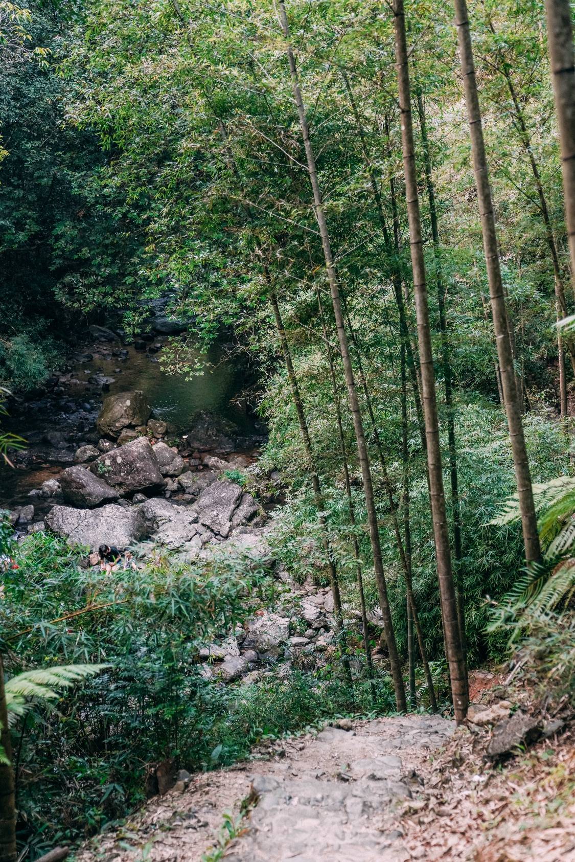 原创广州周边有一山中秘境,森林瀑布负离子全涵盖,鲜有游客发现游览