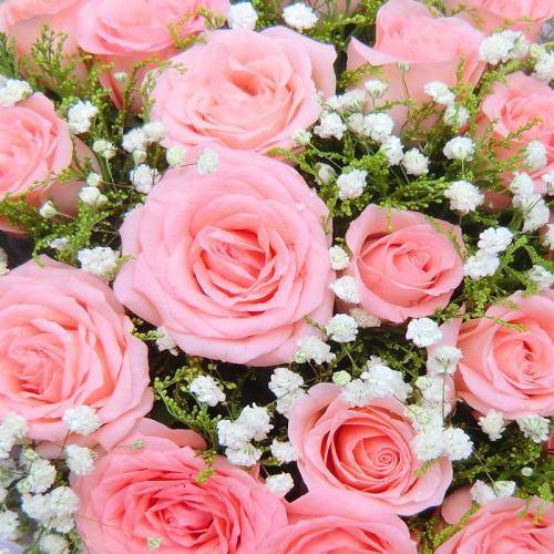 近段时间内 会收获爱情的4大星座 琴瑟相依 天长地久 朋友