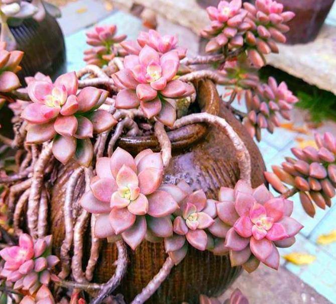 Www 366 Net歌词 晴格歌词网