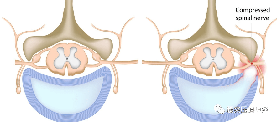 6e4398cad5e043a58588e5af2bcdb516.png
