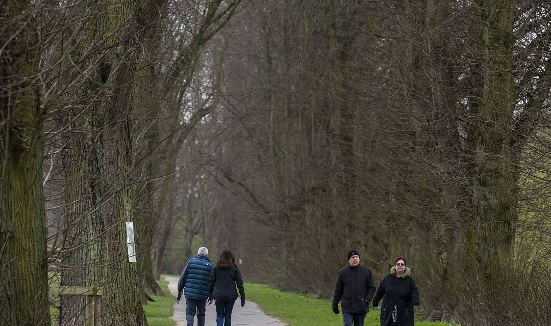人体|男性50岁后,若能轻松完成5个动作,表示身体很硬朗,真让人羡慕