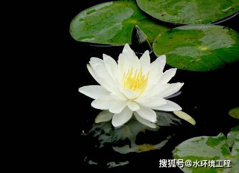 75718f01b92547d9b19a7d59c5117d3c.jpeg
