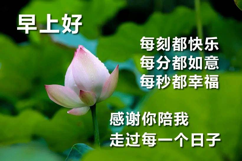 8张不用打字就可以聊天的的早安问候图片 2021创意唯美早安问候语图片