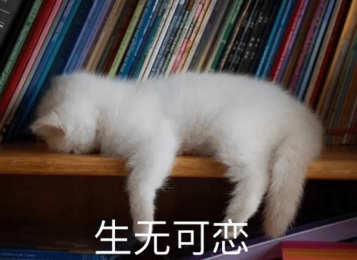 小时候|科治好:年纪轻轻的，怎么腰就不行了