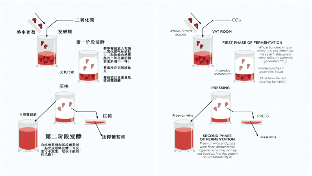 方法|别卡速：格鲁吉亚葡萄酒品酒师课程（十三）
