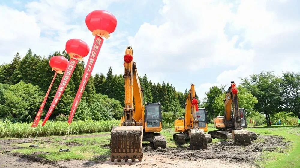 企业|事关乐高、阿里等大项目，金山新商圈打造，早餐美食...