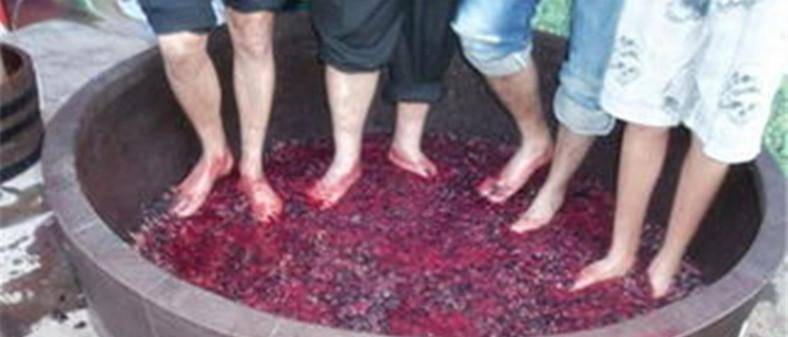 美食|你觉得脚踩的美食卫生吗?看看这些脚踩食物,肯定有你吃过的上榜