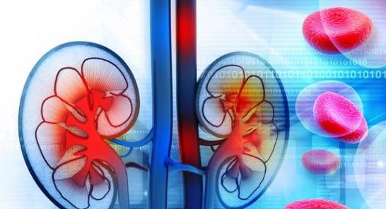 肾脏|提醒：糖尿病不想发展成尿毒症，控制好3个指标很重要