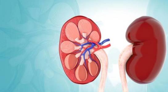 肾脏|提醒：糖尿病不想发展成尿毒症，控制好3个指标很重要