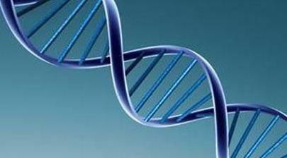 生活|我们为什么会得糖尿病，糖尿病前期有什么征兆？医生说清楚！