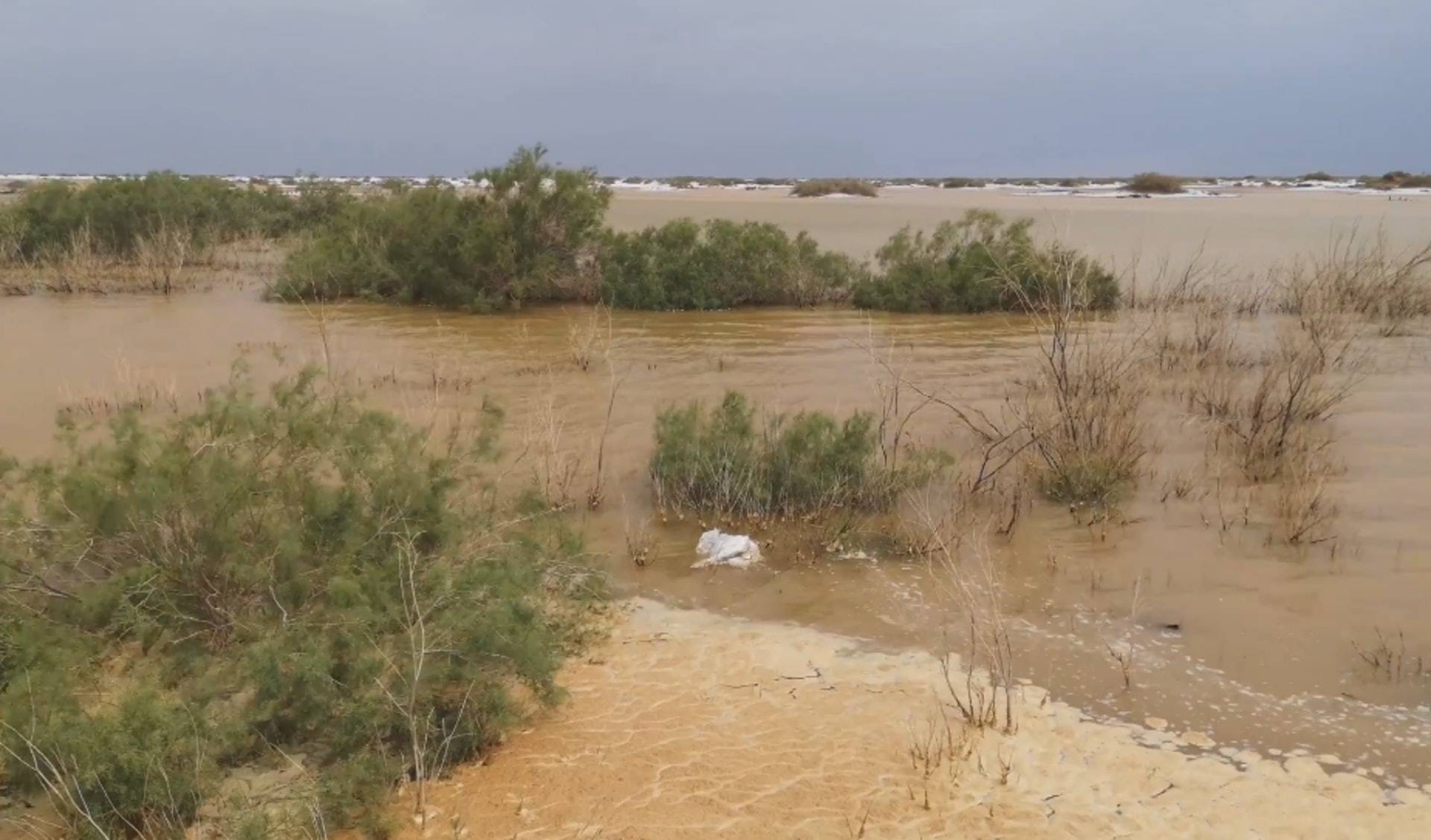 原创塔克拉玛干沙漠遭遇洪水是偶然还是常态和全球变暖有何联系