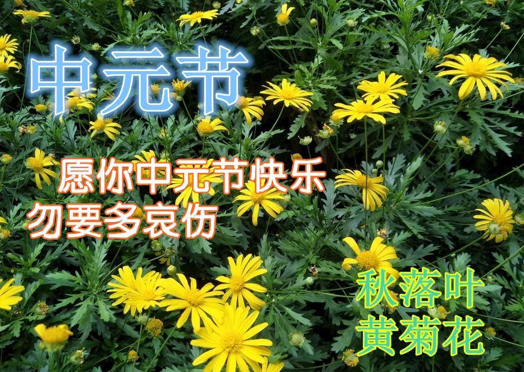 8月22日中元节早上好动态表情图片大全 中元节早上好问候语句子 秋菊