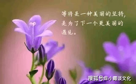 e87e3ac110f74f9fb3ba08cea136f48b.png
