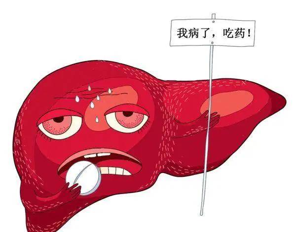 物质|得了乙肝后到底应该如何养护？