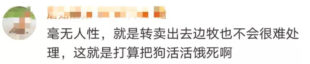 生命|情侣搬家将宠物狗遗弃出租屋十几天，致其浑身生蛆！多位明星发声