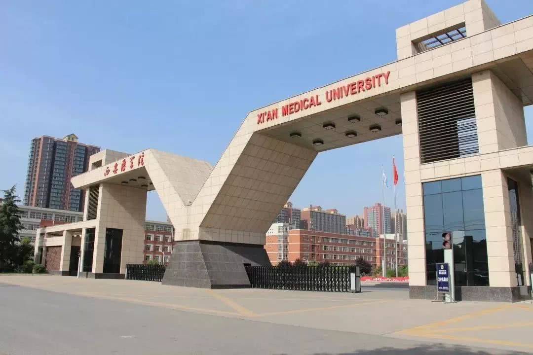 教育部明确表态医学教育停中职控高职医学教育要精英化了