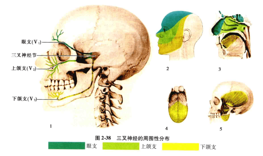 d07967255c8b45738d6bd7c69b1d66af.png