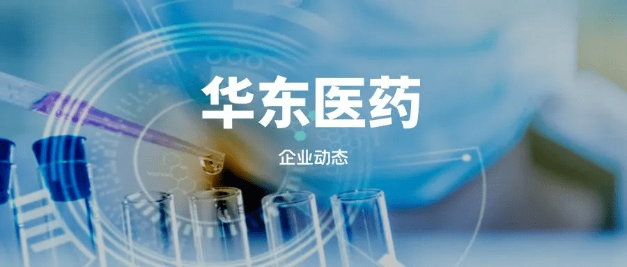 撰写|李玉波 编辑|lz华东医药有"医药工业 医药商业 医美"三项主营