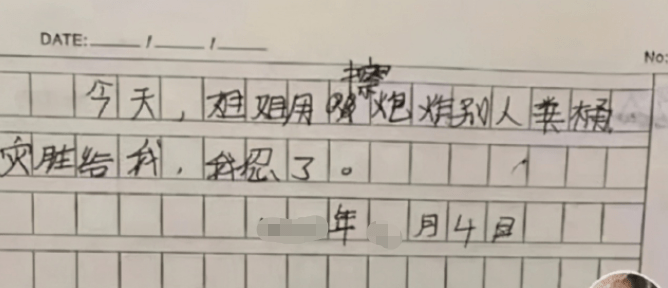 家长|人类幼崽记仇本，每页都写着“我忍了”，详细记录姐姐的罪行