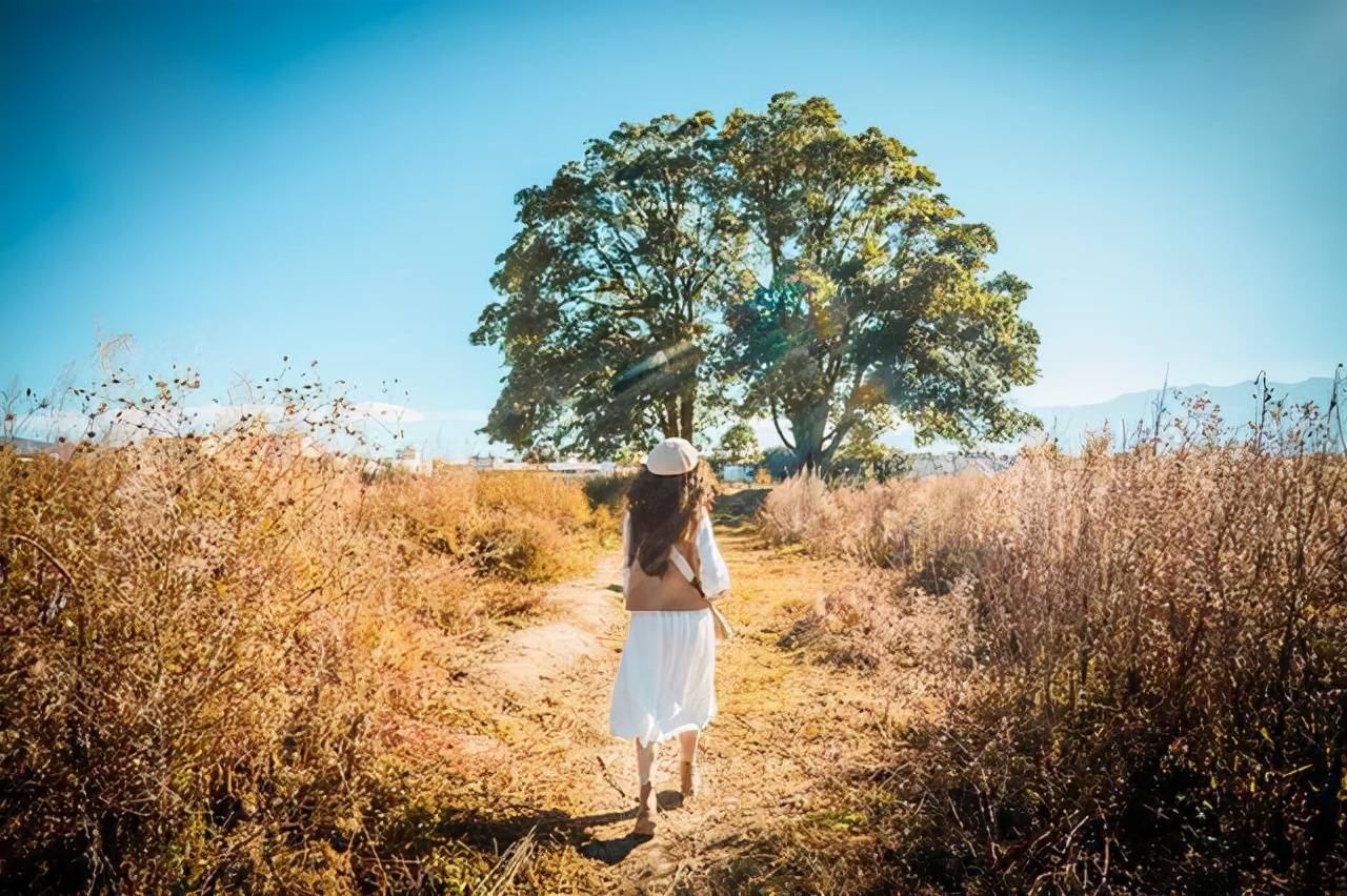 功率|老司机建议自驾远游一定要带上的户外装备,入股不亏