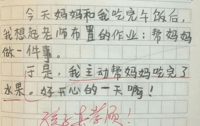 家长|人类幼崽记仇本，每页都写着“我忍了”，详细记录姐姐的罪行