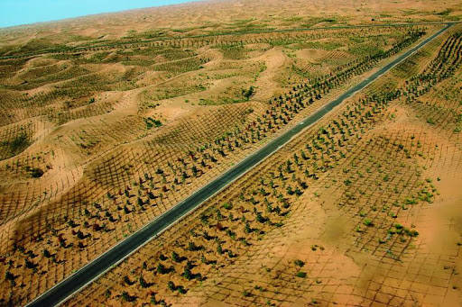 原创现在沙漠可以绿化了一旦失去沙漠会不会破坏自然界生态系统