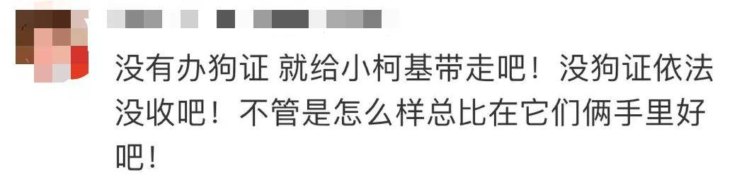处理结果|洗衣机小柯基找到了!但处理结果……