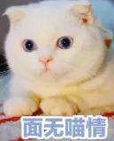 脚背|你的凉鞋该换了，今夏就穿这4双