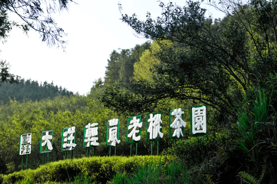 国号|中秋福利:大洋轻岚超值大礼盒