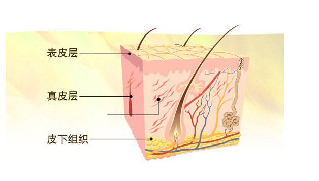 知识科普|茂波老师护肤精品课程丨明明按时好好护肤，为什么皮肤还是那么差？