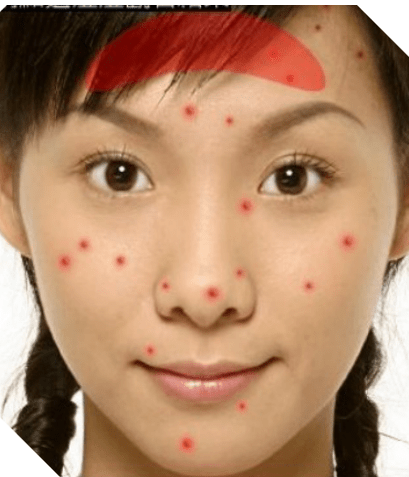 下巴|秋秋老师--