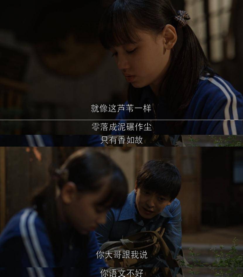 张晚|白宇变身“暴躁”妹控《乔家的儿女》怎么越看越有趣！