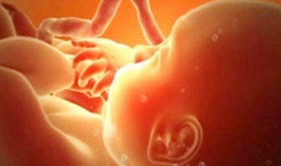 子宫|孕妇喝水要选对时间段，这4个时间补水，会让羊水更干净！