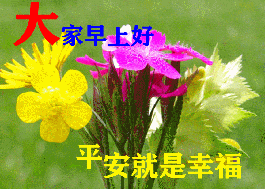 8张最新漂亮早上好问候动态鲜花图片带字创意唯美秋日早上好问候图片