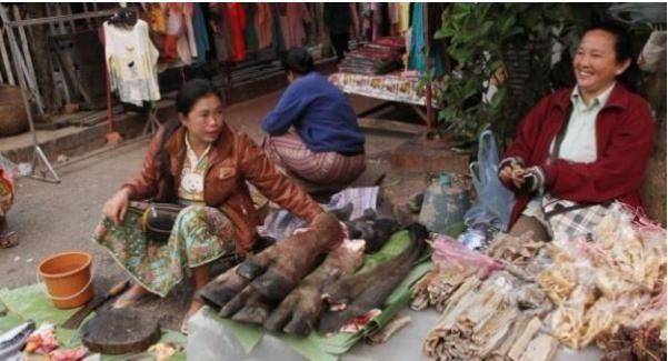 老挝最“全面”的菜市场，只有想不到没有不卖的，游客不敢去