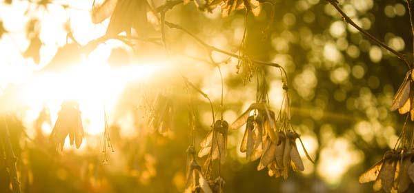 方法|为啥有人晒不黑,有人一晒就黑,还很难变白?3大防晒误区别中招