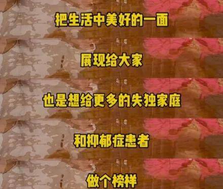 男星|“儿子没了，我成了一名美食博主，却遭到了疯狂的网暴”