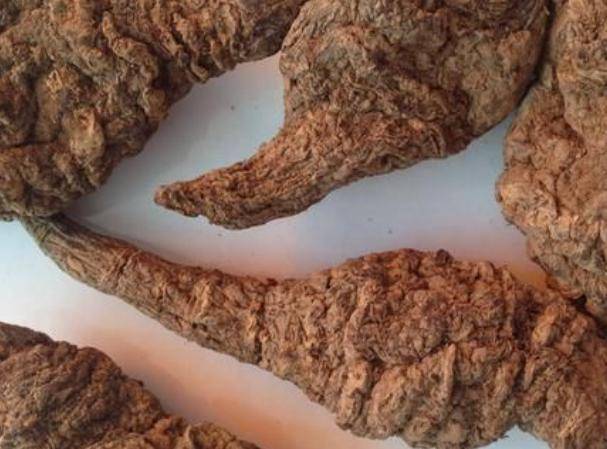 熟地黄的作用与效果 a27d47f5e18943a4bb4b7dfac7c8ac6a.jpeg